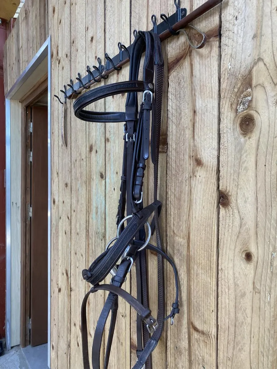Bridon canter