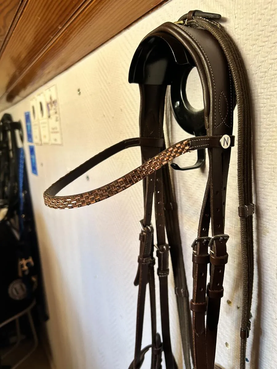 Bridon Norton princesses cheval