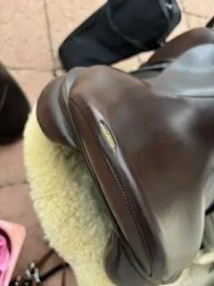 Selle italienne suprème modèle évolution